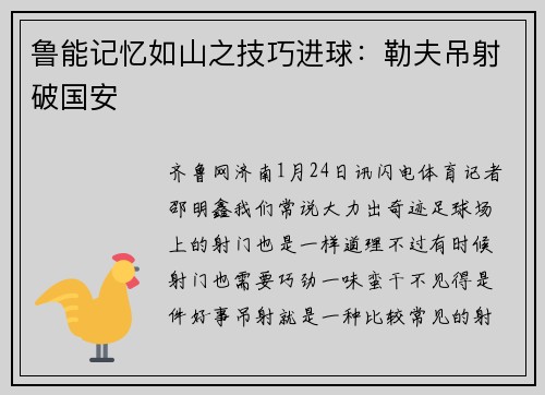 鲁能记忆如山之技巧进球：勒夫吊射破国安